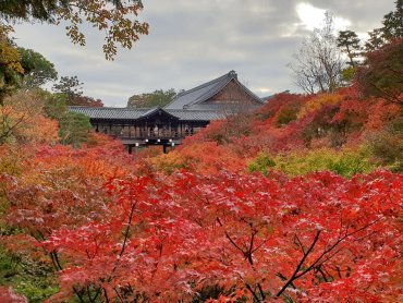 長榮航擴大日本航線 2019年新增名古屋、青森、松山航點
