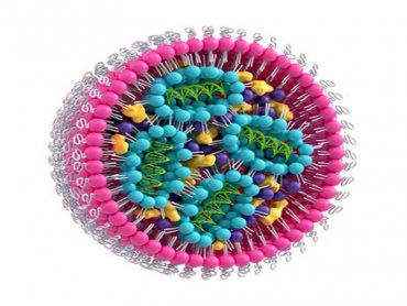 默克宣布併購AmpTec 拓展訊息核糖核酸(mRNA)技術以用於疫苗、療程與診斷的應用