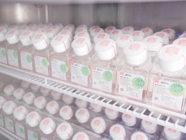 宣捷幹細胞攜手雙和醫院 以間質幹細胞產品UMC119-06啟動治療新冠肺炎重症患者